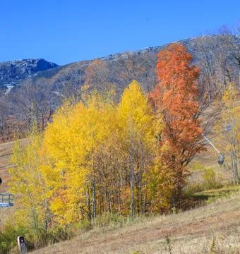 Beautiful Natural Forest Background in Fall Season. Landscape, Nature, Touris Stock Photos
