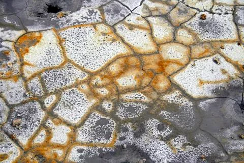 Beautiful natural pattern on volcanic earth Stock Photos