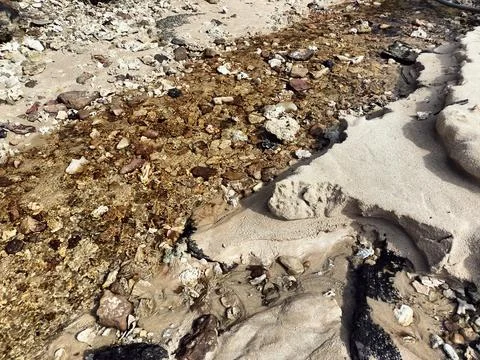 Beautiful Natural Stone Patterned Covered Sand Beach Texture Stock Photos
