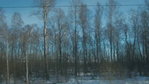 Beautiful natural views from the train window 库存影片 171866525