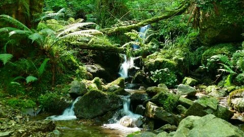 Beautiful natural waterfall between the vegetation and the stones Stock Photos