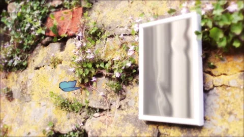 Beautiful Nature 14 Stock Footage 242014326
