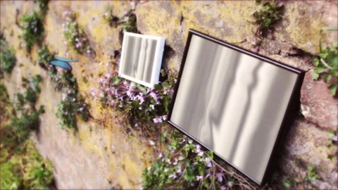 Beautiful Nature 18 Stock Footage 242029983