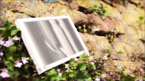 Beautiful Nature 19 Stock Footage 242029586