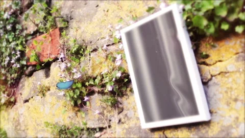 Beautiful Nature 2 Stock Footage 242015482