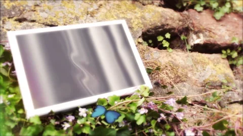 Beautiful Nature 3 Stock Footage 242071637