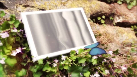 Beautiful Nature 9 Stock Footage 242066704