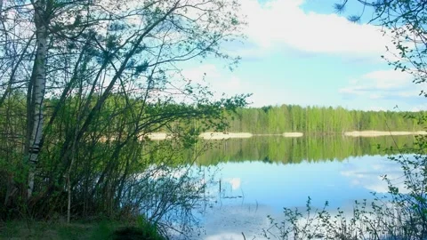 Beautiful nature background with forest reflecting in water surface in lake. Vídeos de archivo 136517162