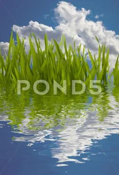 Beautiful nature background Stock Photos