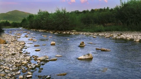 Beautiful nature background with stream in the forest Stock Footage 78774714