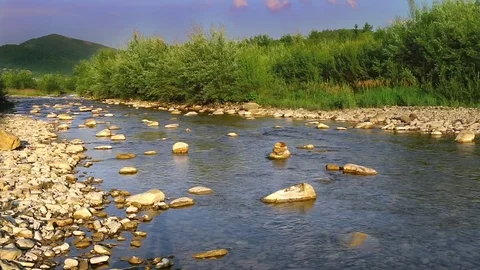 Beautiful nature background with stream in the forest Stock Footage 80067540