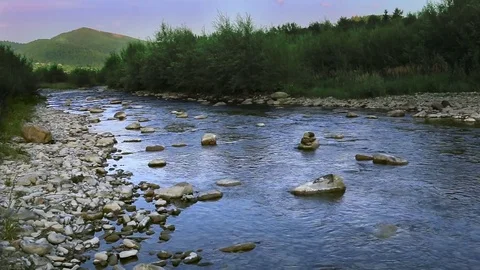 Beautiful nature background with stream in the forest Stock Footage 82442912