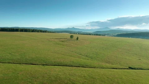 Beautiful nature.The camera flies over green field. Vidéo 112096682
