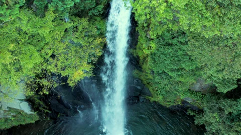 Beautiful Nature Drone Shot of Stock Video Pond5 - Main Image
