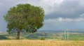 Beautiful nature, environment conservation, renewable energy, wind turbines 4k or 4k+ Resolution