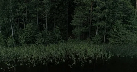 The Beautiful Nature Of Estonia Stock Footage 99746963