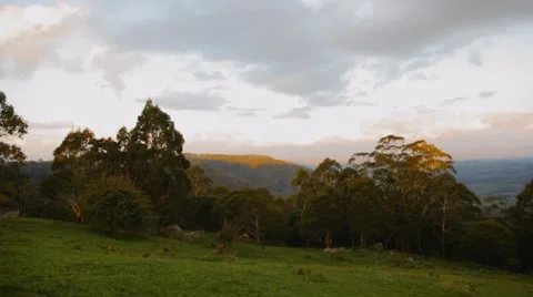 Beautiful nature Stock-Footage 42485128