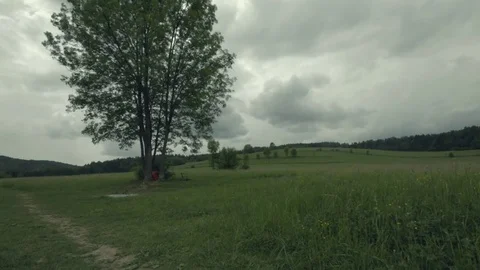 Beautiful nature Stock Footage 85217825