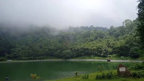 Beautiful Nature Video stock 170891671