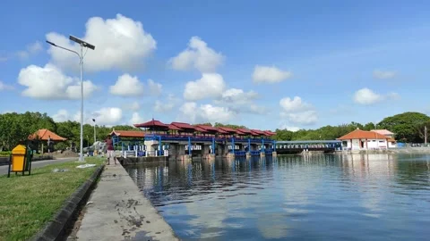 Beautiful nature Stock Footage 211260412