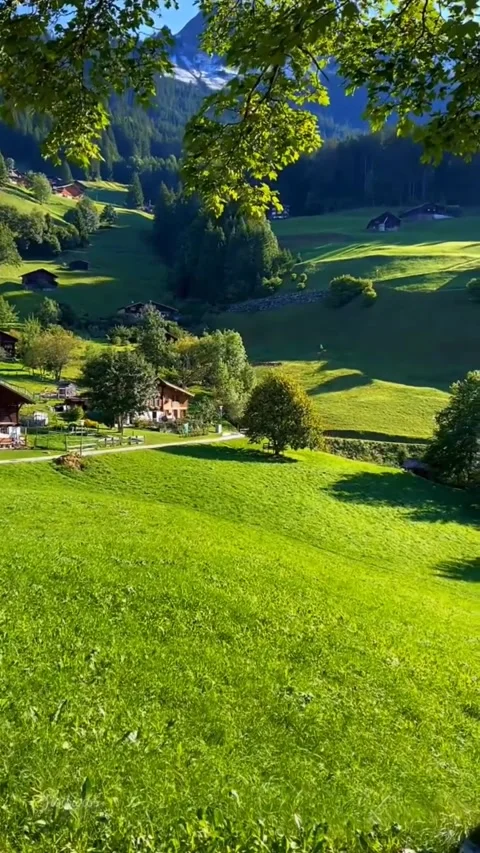 Beautiful nature Stock Footage 234796989