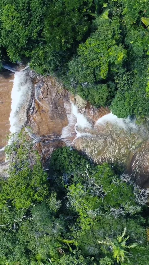 Beautiful-nature Stock Footage 244392390