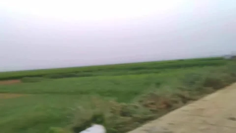 Beautiful Nature Video stock 276567314