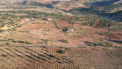 Beautiful Nature of Morocco and an empty Street and Argan Trees near Marrakesh Video stock 101341512