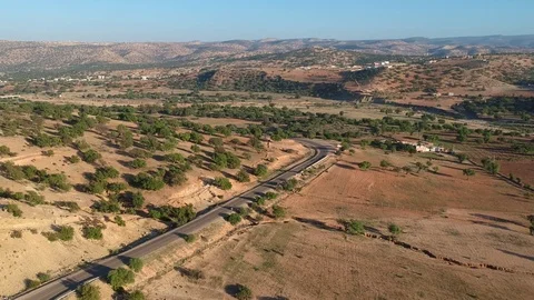 Beautiful Nature of Morocco and an empty Street and Argan Trees near Marrakesh Stock Footage 101341574