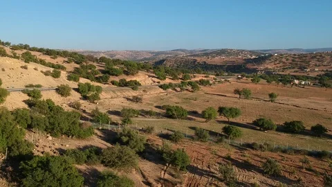 Beautiful Nature of Morocco and an empty Street and Argan Trees near Marrakesh Stock Footage 101341642