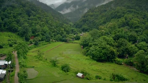 Beautiful of nature in mountain Stockbeeldmateriaal 264769488