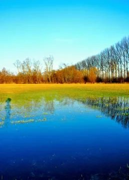 Beautiful nature Stock Photos