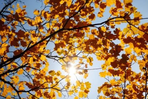 Beautiful nature Stock Photos