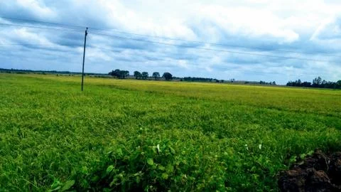 Beautiful nature 写真素材