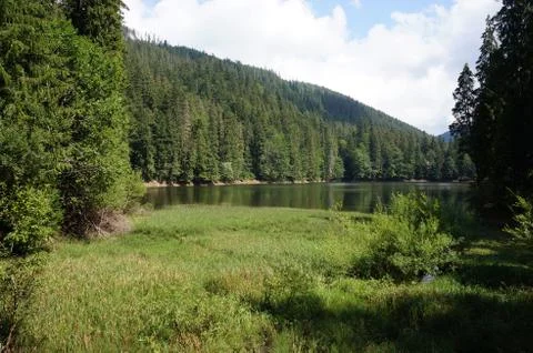 Beautiful nature Stock Photos