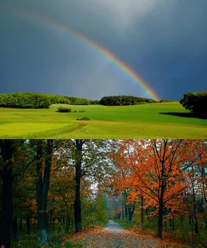 Beautiful Nature Stock Photos