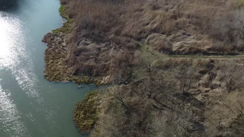 Beautiful nature by the river Stock Footage 258280976