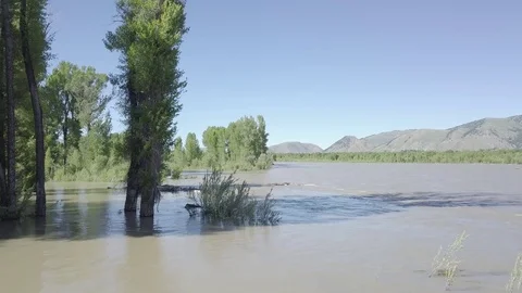 Beautiful Nature with a Running River Stock Footage 85628167