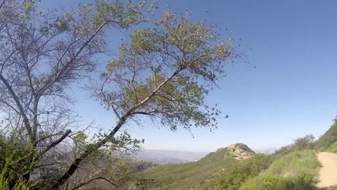 Beautiful nature scene around Topanga Lookout Stock Footage