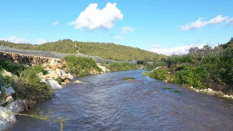 Beautiful Nature Stream, Water surface Stock Footage 126946783
