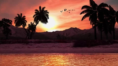 Beautiful Nature sunset evening view Stock Footage 202552184