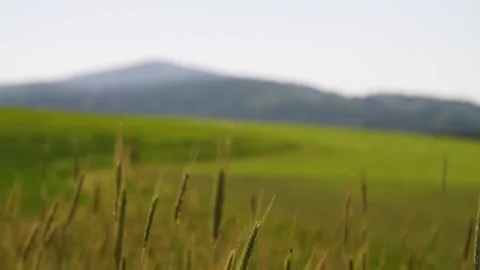 Beautiful nature in Upper Austria Stock Footage 157850173