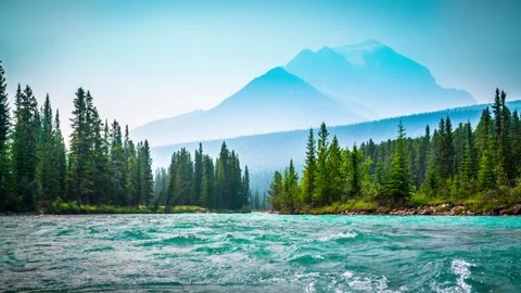 Beautiful nature view Stock Footage 245436735