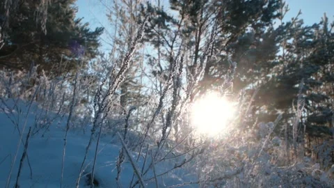 Beautiful nature in winter Video stock 228844429
