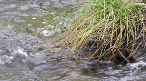 Beautiful Natures Flow Stockbeeldmateriaal 43968080