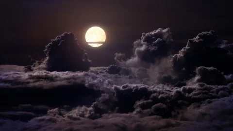 Beautiful night Stock Footage 98780310