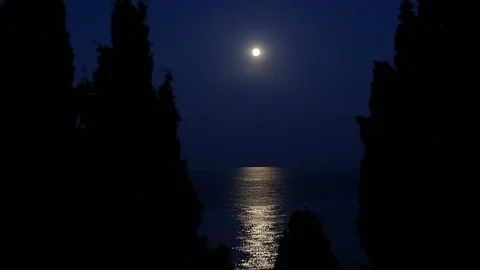 Beautiful night Stock Footage 108540140