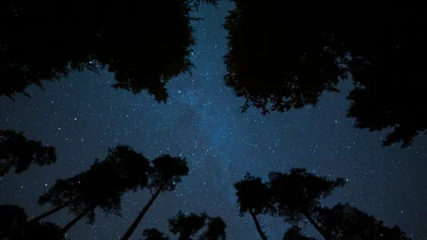 A Beautiful Night Full of Stars TIME LAPS Stock Footage 318072425