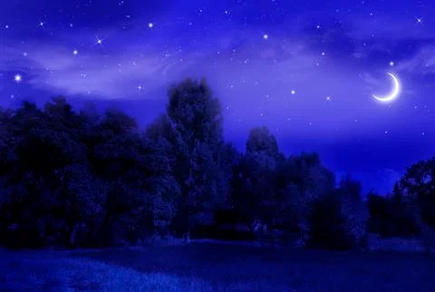Beautiful night landscape Stock Illustration