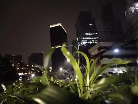 Beautiful night Stock Photos